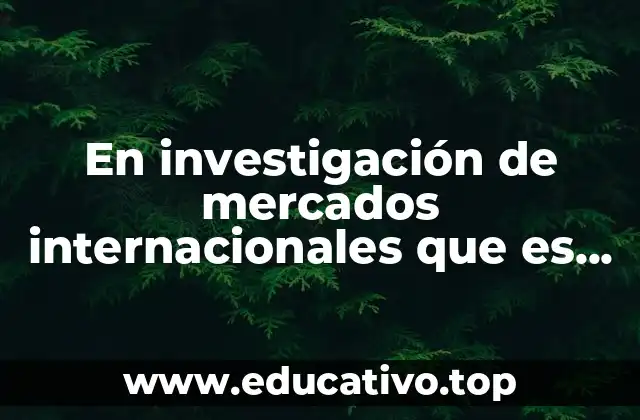 En investigación de mercados internacionales que es entrevista