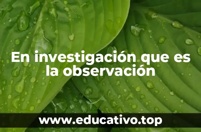 En investigación que es la observación