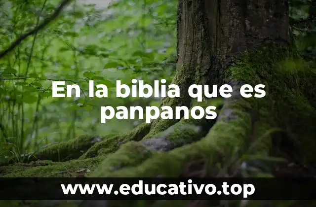 En la biblia que es panpanos