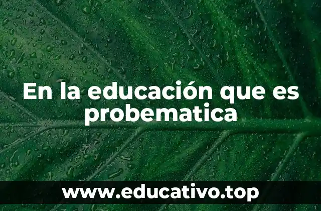 En la educación que es probematica