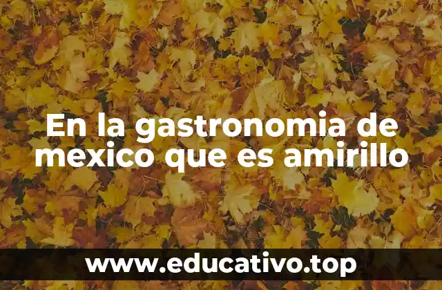 En la gastronomia de mexico que es amirillo