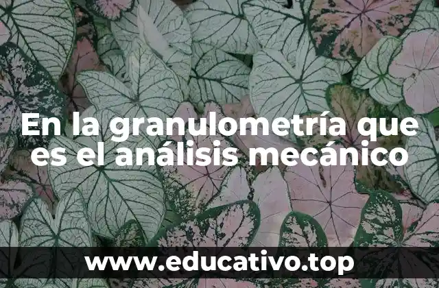 En la granulometría que es el análisis mecánico