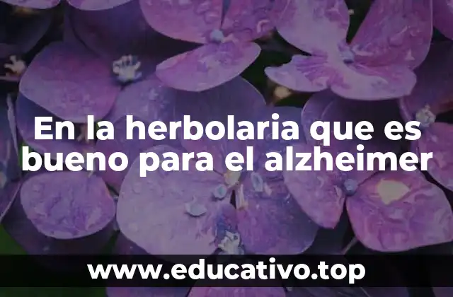 En la herbolaria que es bueno para el alzheimer