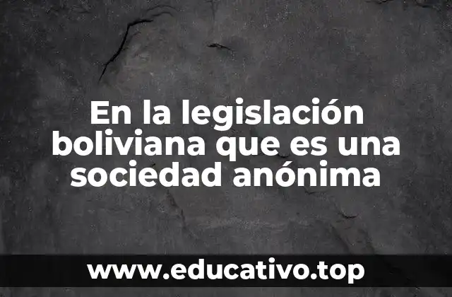 Estructura y funcionamiento de una sociedad anónima en Bolivia