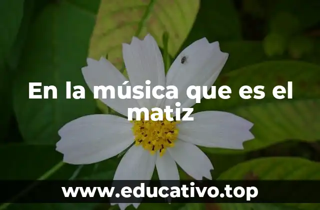 En la música que es el matiz