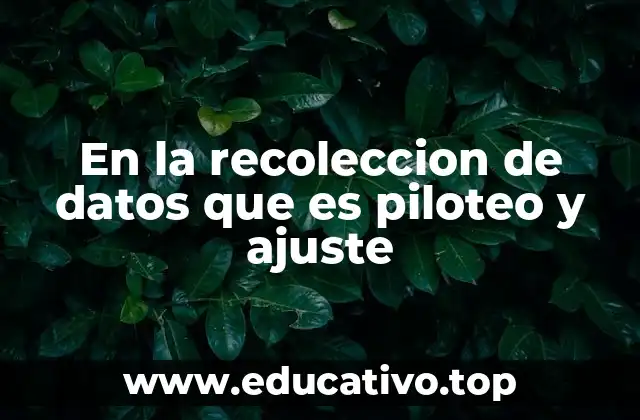 En la recoleccion de datos que es piloteo y ajuste