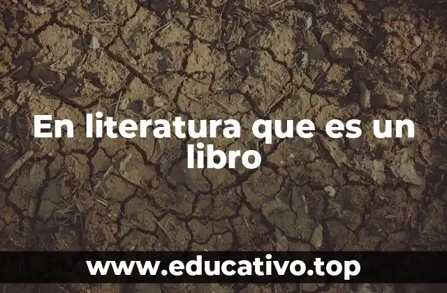 En literatura que es un libro
