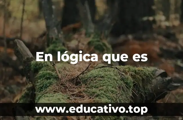 En lógica que es
