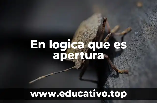 En logica que es apertura