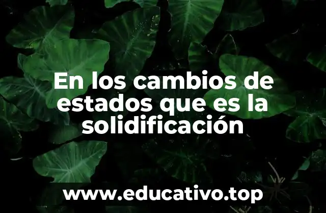 En los cambios de estados que es la solidificación