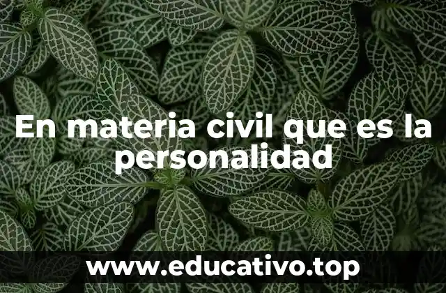 La base de la personalidad jurídica en el ordenamiento civil