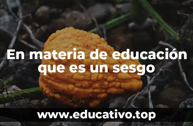 En materia de educación que es un sesgo