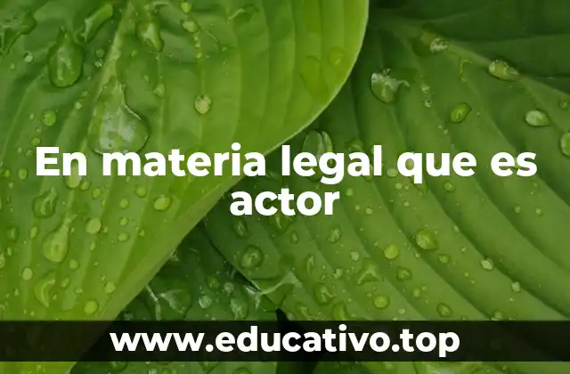 En materia legal que es actor