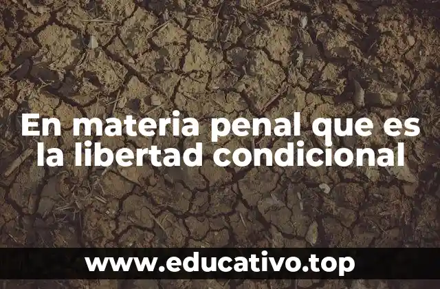 En materia penal que es la libertad condicional