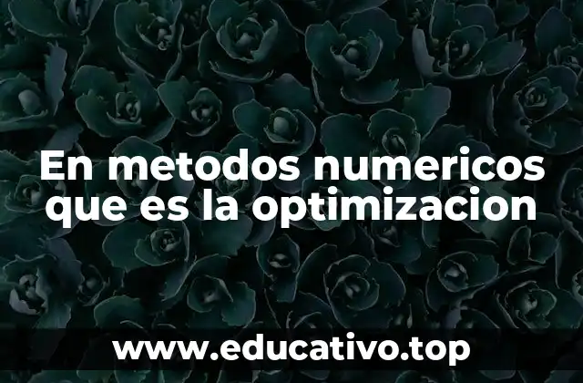En metodos numericos que es la optimizacion