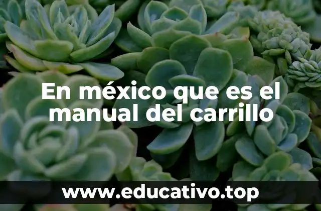 En méxico que es el manual del carrillo
