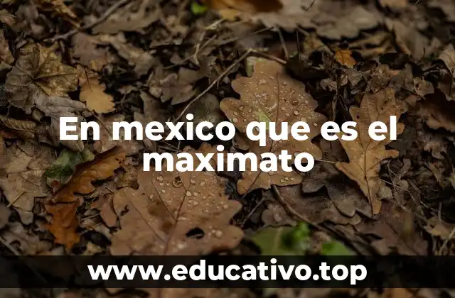 En mexico que es el maximato