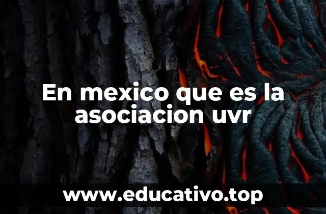 En mexico que es la asociacion uvr