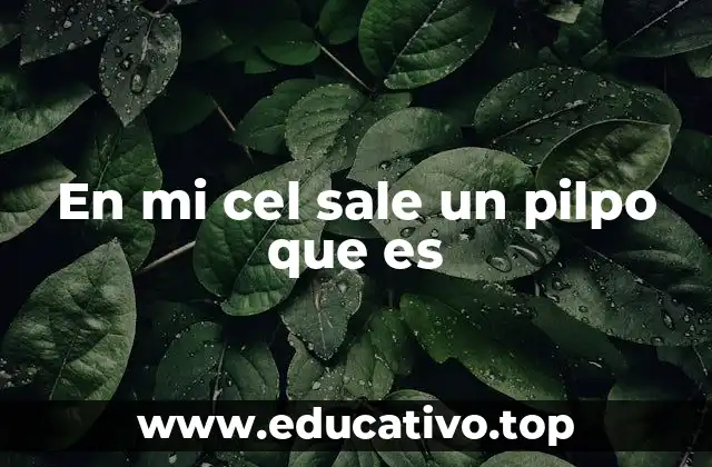 En mi cel sale un pilpo que es