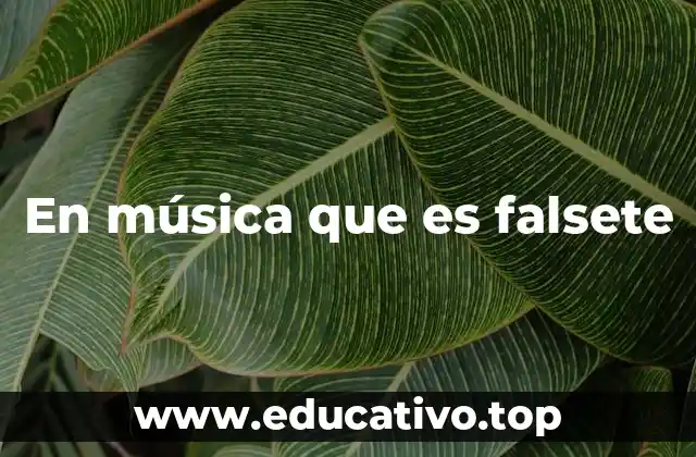 En música que es falsete