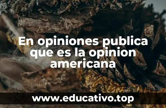 En opiniones publica que es la opinion americana