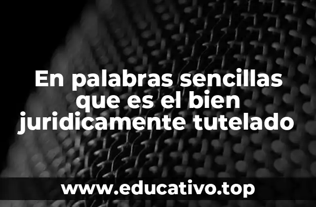 En palabras sencillas que es el bien juridicamente tutelado