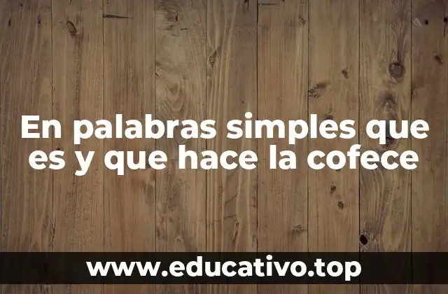 En palabras simples que es y que hace la cofece