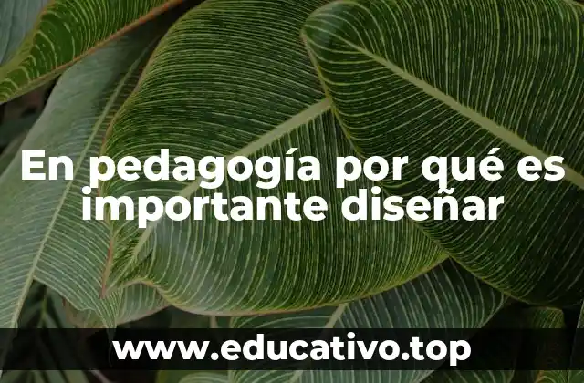 En pedagogía por qué es importante diseñar
