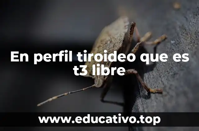 En perfil tiroideo que es t3 libre