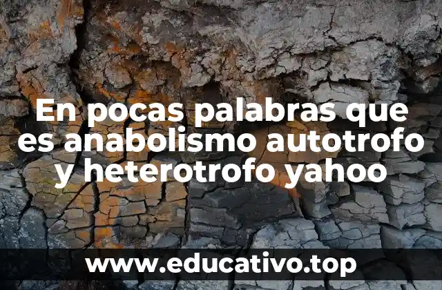 En pocas palabras que es anabolismo autotrofo y heterotrofo yahoo