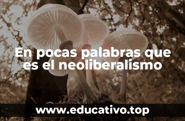 En pocas palabras que es el neoliberalismo