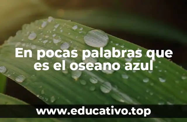 En pocas palabras que es el oseano azul