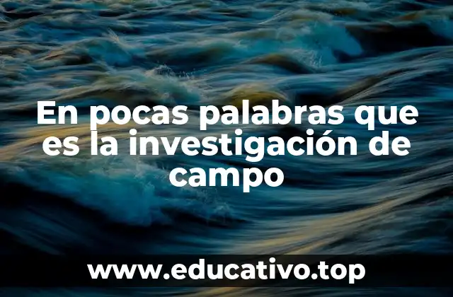 En pocas palabras que es la investigación de campo