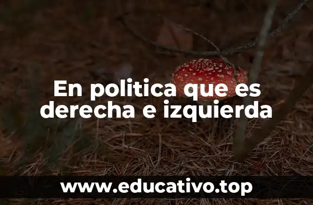 En politica que es derecha e izquierda
