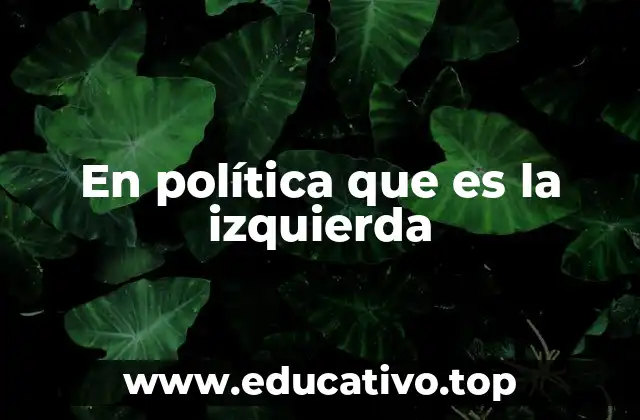 En política que es la izquierda