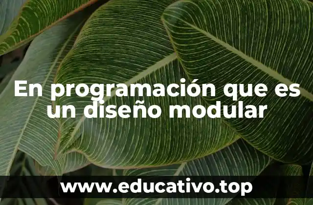En programación que es un diseño modular
