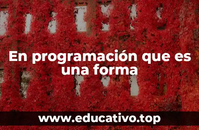 En programación que es una forma