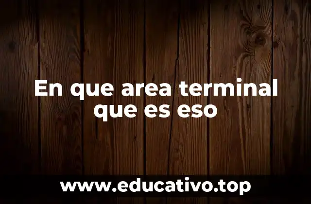 En que area terminal que es eso