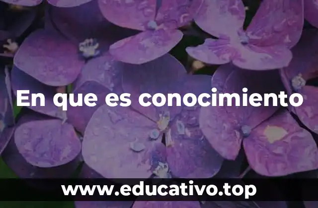 La importancia del conocimiento en el desarrollo personal y colectivo