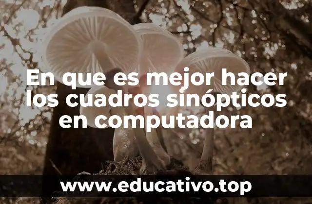 En que es mejor hacer los cuadros sinópticos en computadora