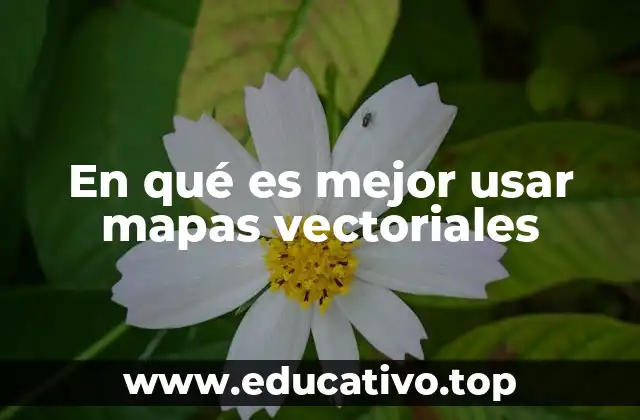 En qué es mejor usar mapas vectoriales