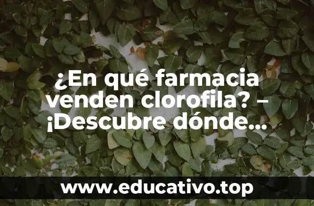 ¿En qué farmacia venden clorofila? – ¡Descubre dónde encontrar este suplemento natural!