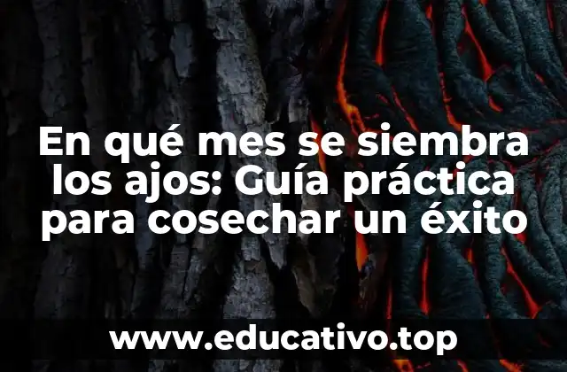 En qué mes se siembra los ajos: Guía práctica para cosechar un éxito