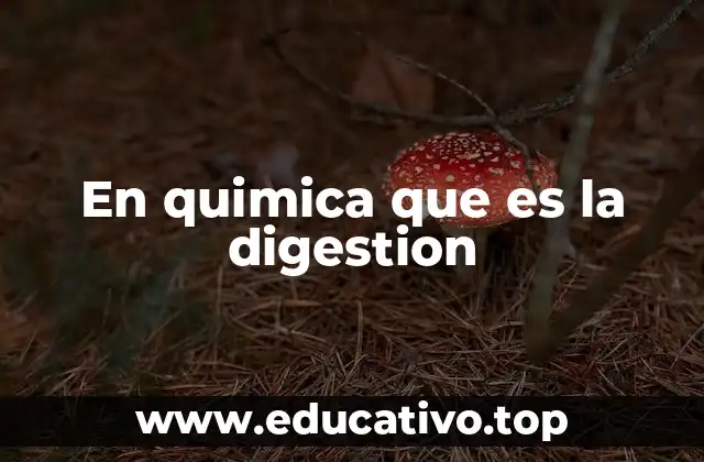 En quimica que es la digestion