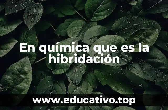 En química que es la hibridación
