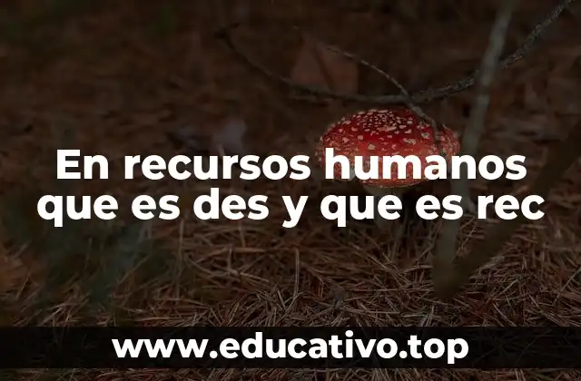En recursos humanos que es des y que es rec