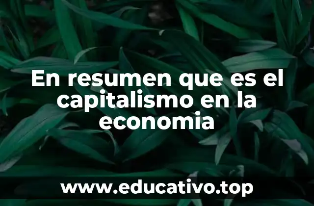 En resumen que es el capitalismo en la economia