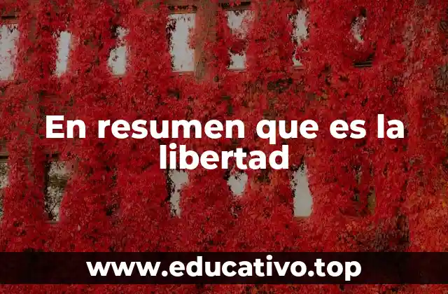 En resumen que es la libertad