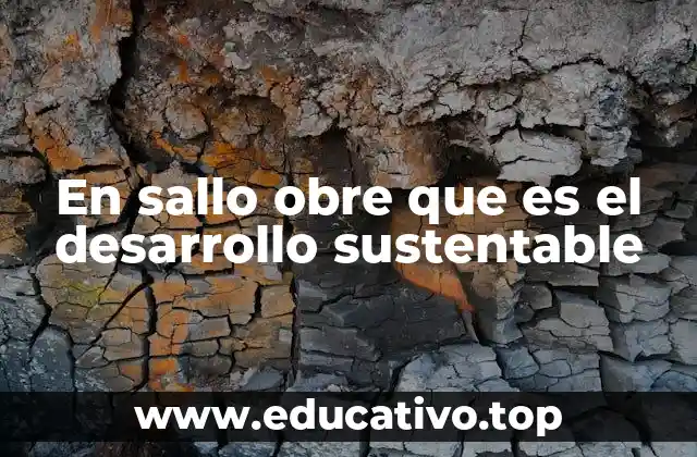 En sallo obre que es el desarrollo sustentable