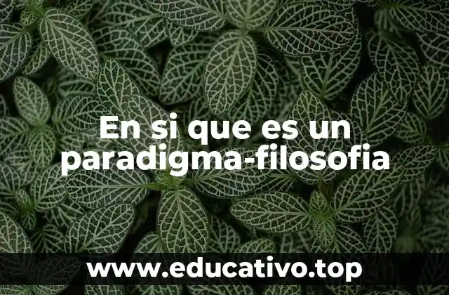 En si que es un paradigma-filosofia